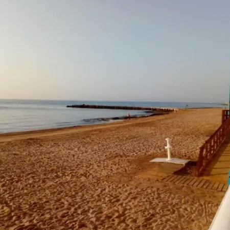 Beau Terrasse A Cote De La Del Cura * Torrevieja